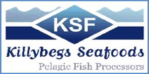 Image of Killybegs Seafoods logotype