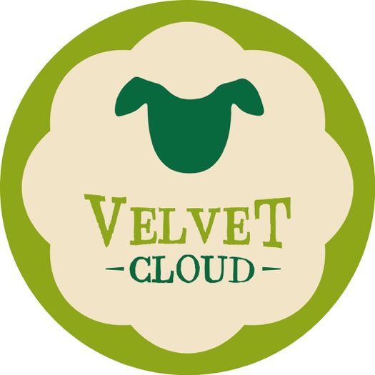 Image of Velvet Cloud logotype